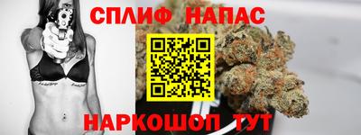 твердый Камышлов