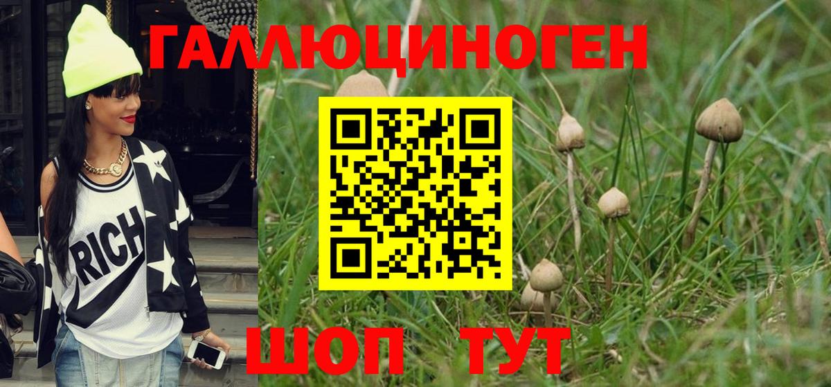 хочу наркоту  Галлюциногенные грибы ЛСД  Вход с VPN  Псилоцибиновые грибы Psilocybe  Чусовой 